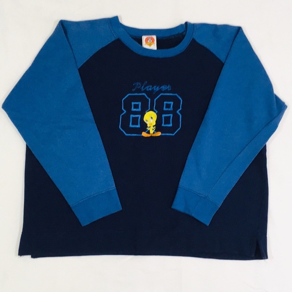 Vintage Sweaters - Women’s Vintage Embroidered Tweety Bird Sweater